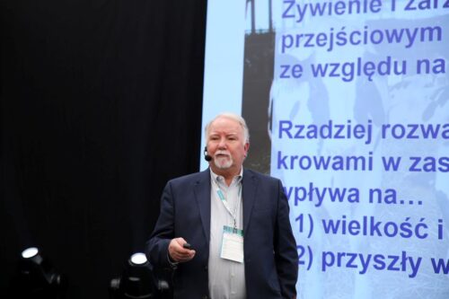 Cielęta, odchów cieląt, siara dla cieląt, mleko przejściowe, żywienie cieląt, eKrowa,