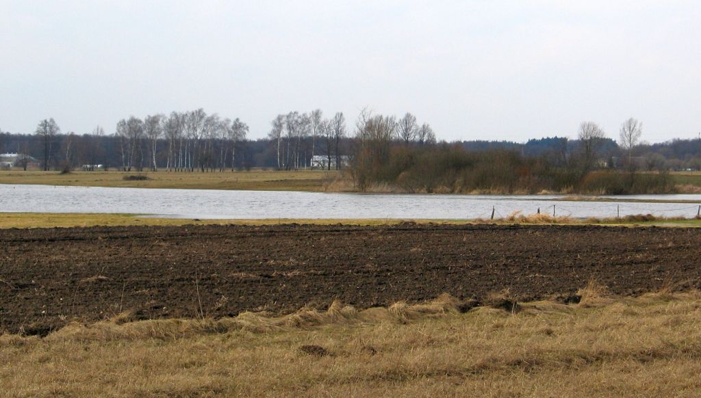 strategia wodno-błotna, mokradła