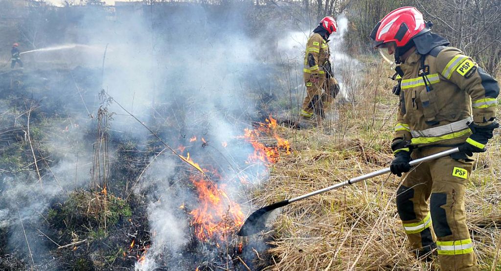 wypalanie traw rolnicy, wypalanie traw, pożary traw, dopłaty