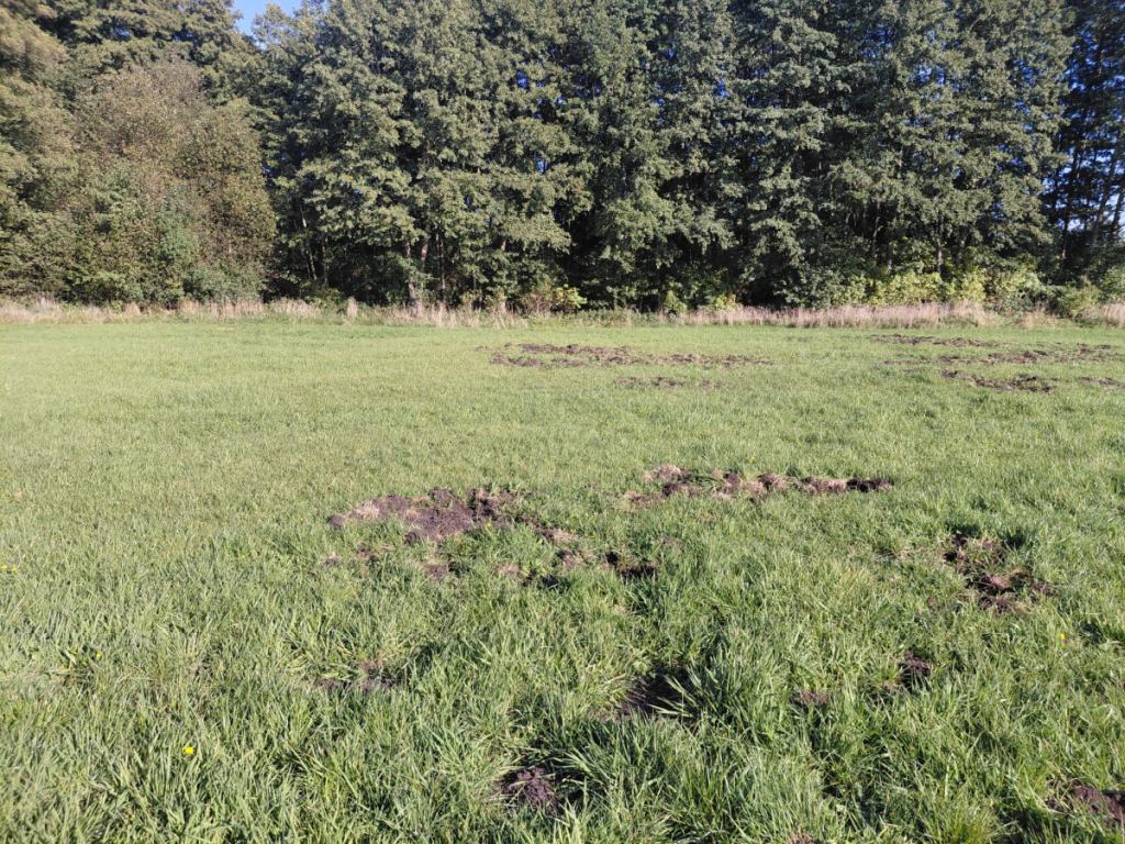 szkody, zwierzyna, ochrona upraw,