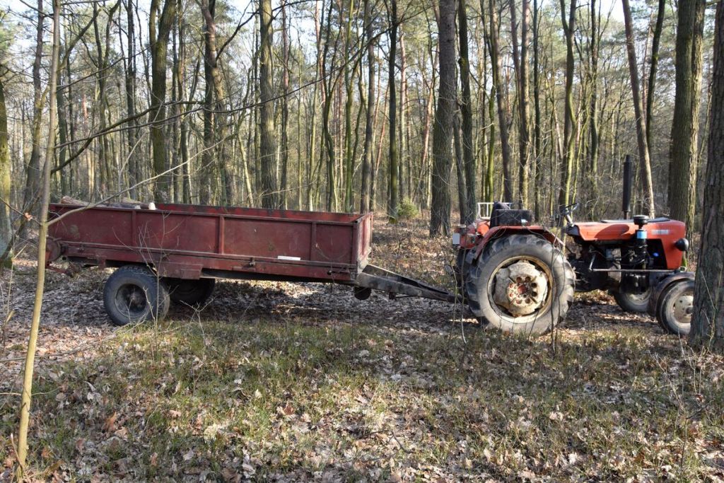 wypadek przy wycince drzew, ciągnik w lesie
