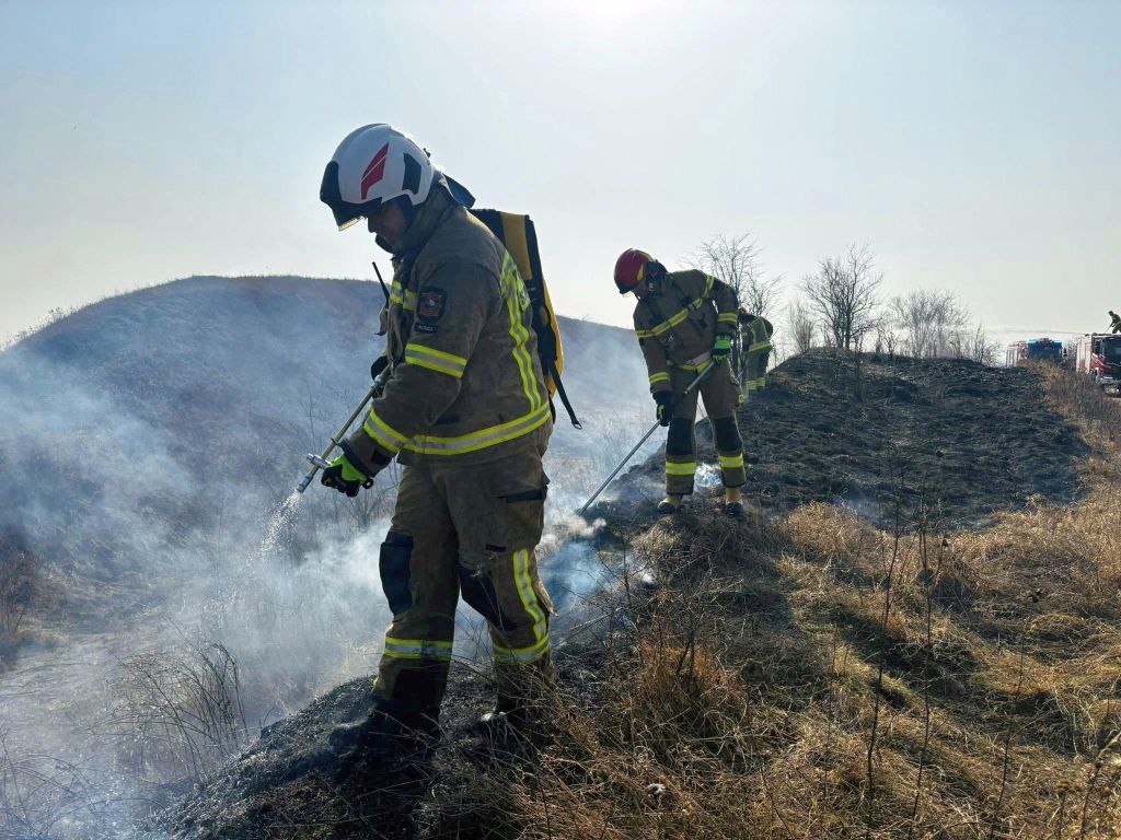 wypalanie traw, pożary traw
