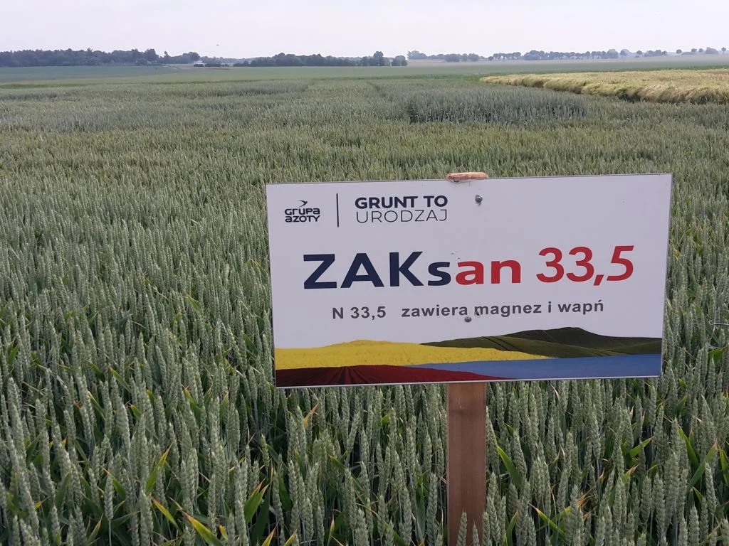 ceny zbóż ceny nawozów, produkcja zbóż, nawozy azotowe, nawozy pod zboża