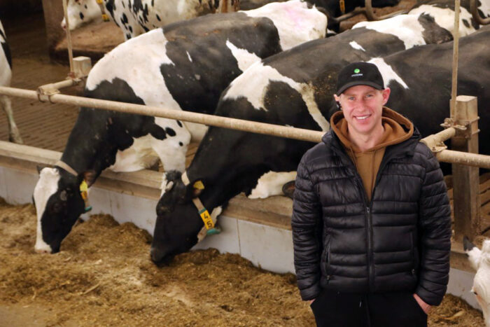 hodowca bydła, żywienie krów, Feed Efficiency, produkcja mleka, TMR, bydło mleczne, hodowla krów, wydajność mleczna