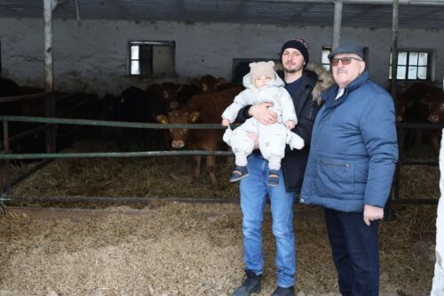 efektywność opasu bydła rzeźnego,