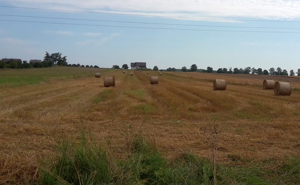 finanse gospodarstw, produkcja rolna