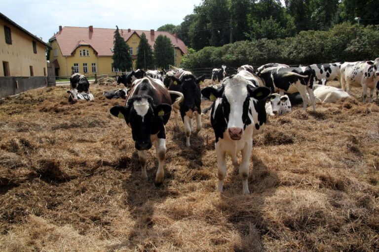Portal Rolnika. Cyfryzacja przyspieszy kontakt z urzędami - Agropolska