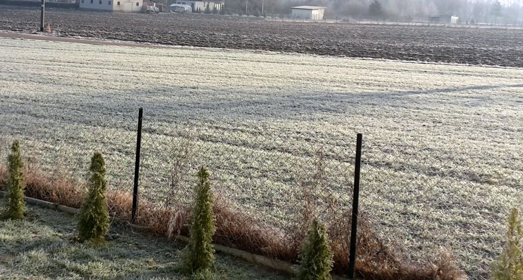 przymrozki uprawy, pomoc dla rolników