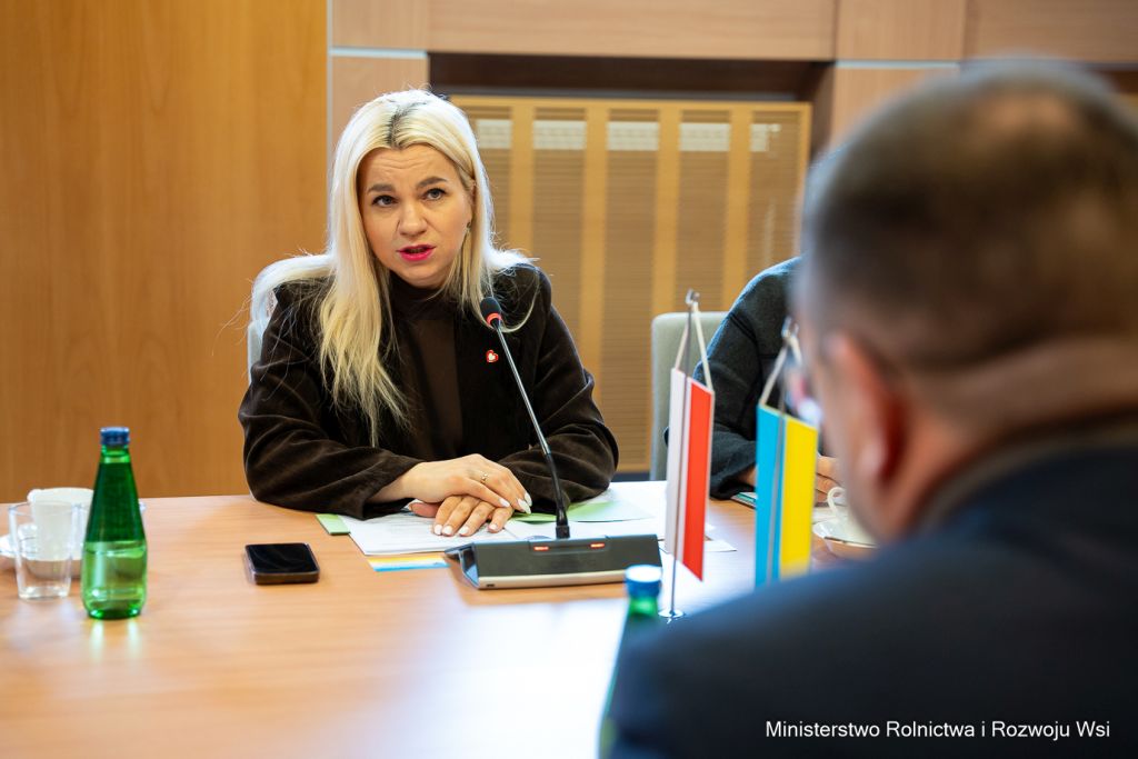 ukraina ue, małgorzata gromadzka