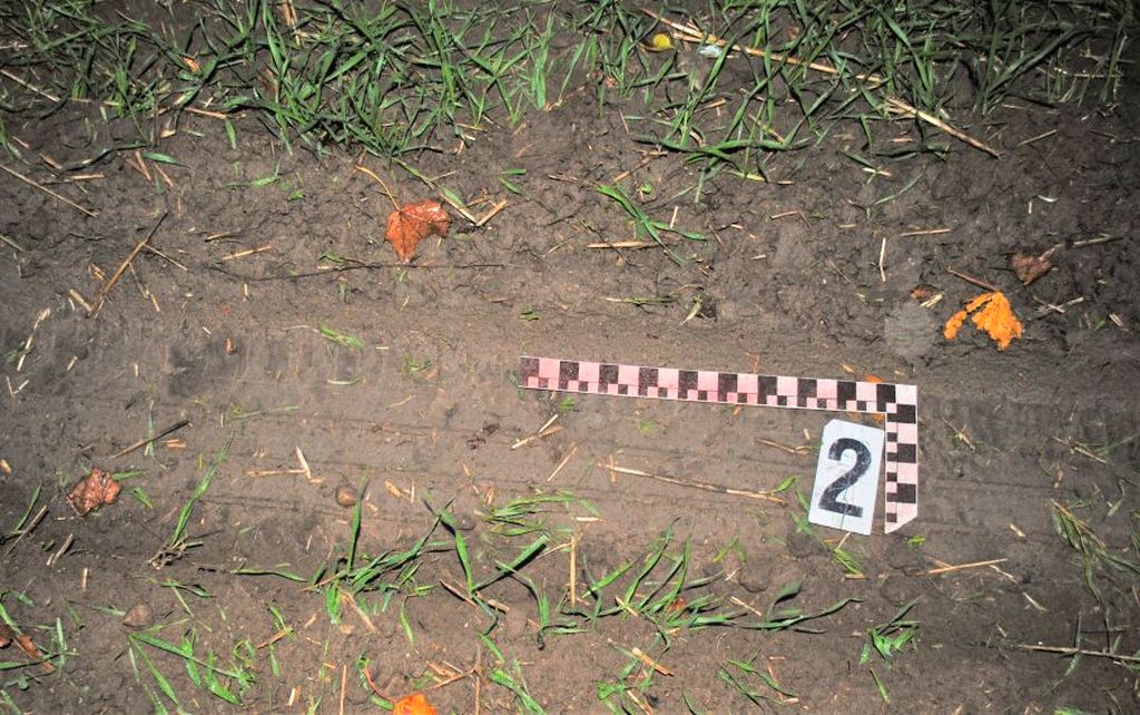 zniszczone zasiewy, szkody na polu