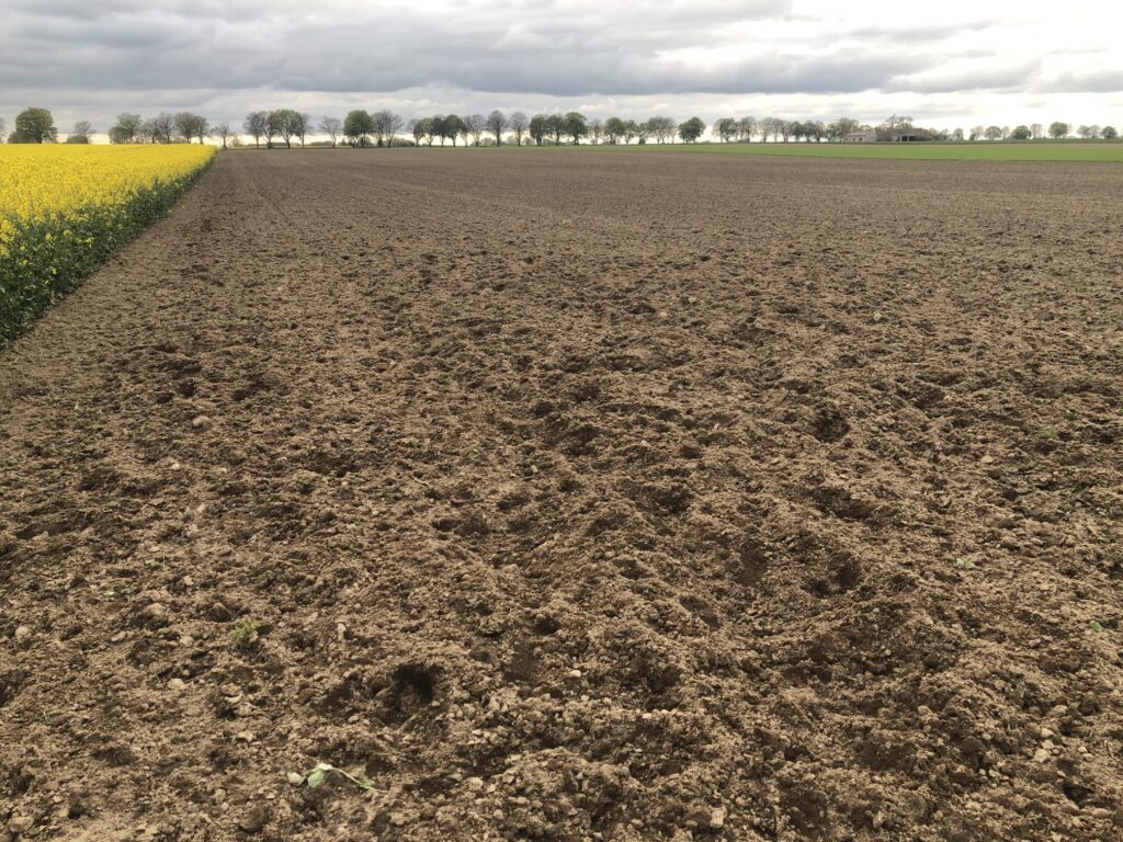 błędy agrotechniczne