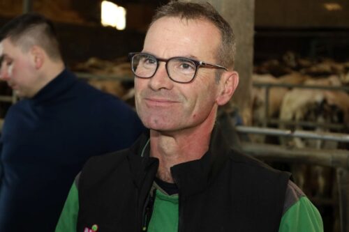 Efektywna produkcja mleka i wołowiny w oparciu o rasę normandzką