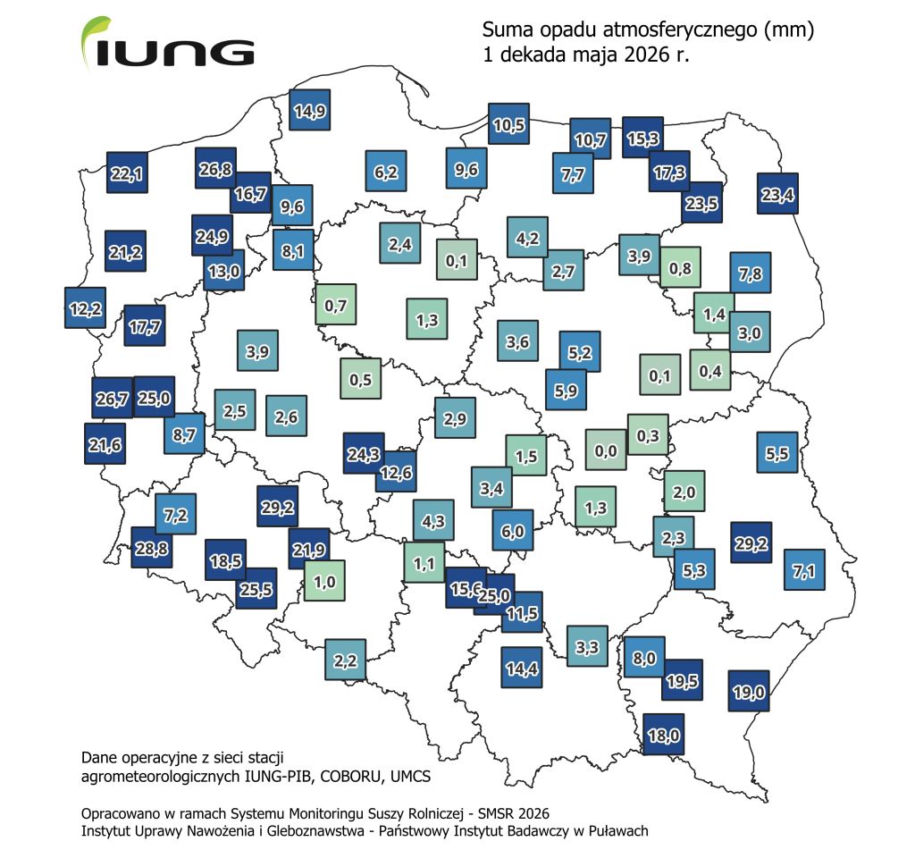 susza na polach, opady atmosferyczne