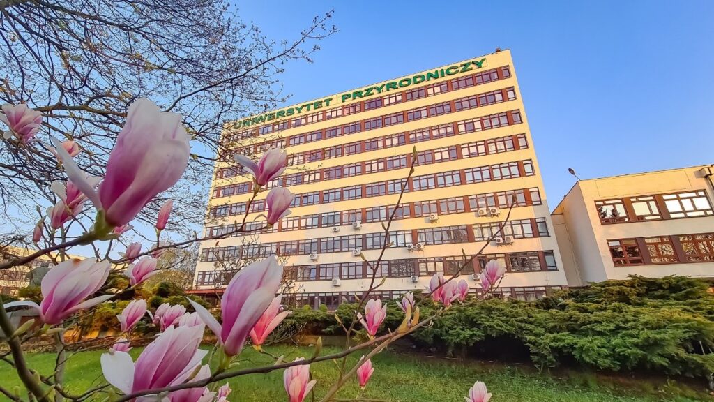 owiur, olimpiada, Poznań
