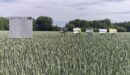 Agrosimex Demofarmy