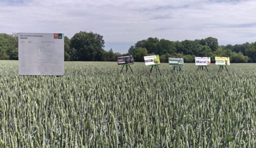 Agrosimex Demofarmy