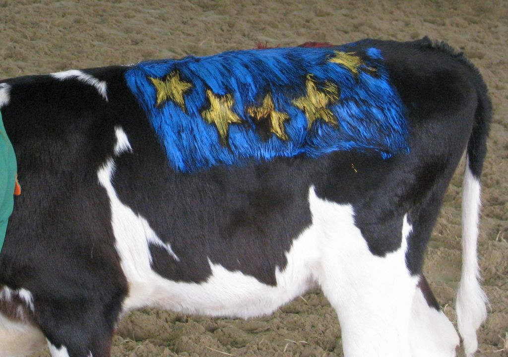 rolnicy budżet UE, pieniądze dla rolników
