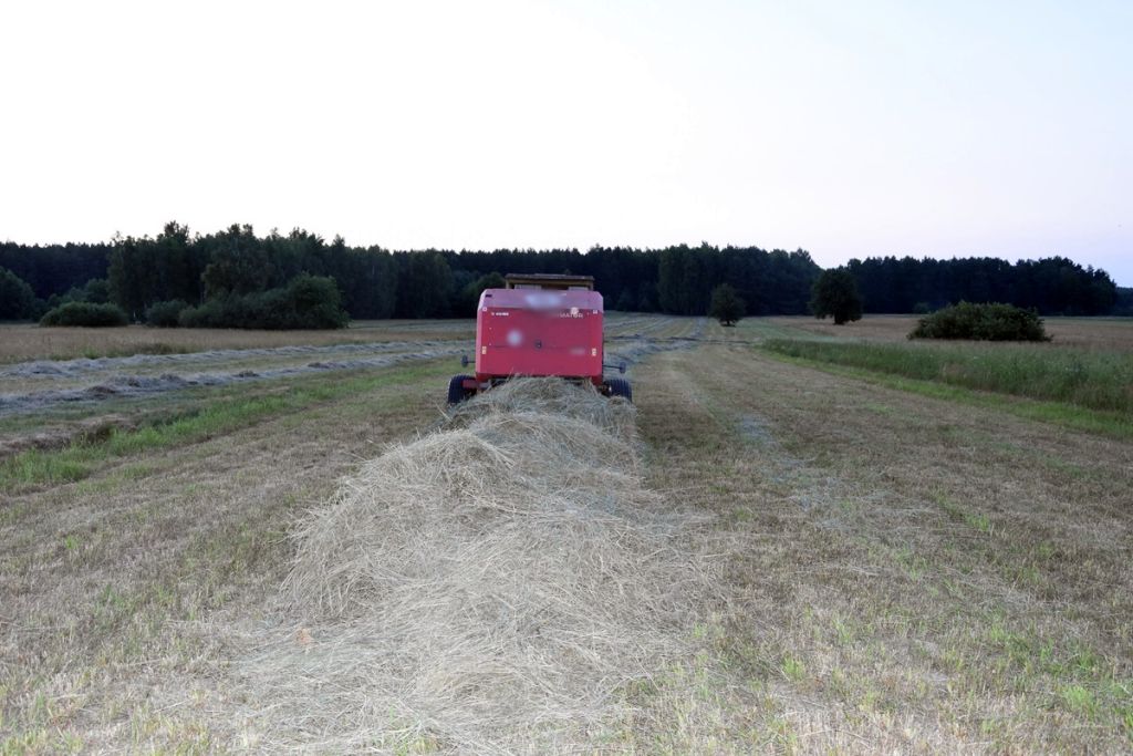 prasa rolnicza, sianokosy