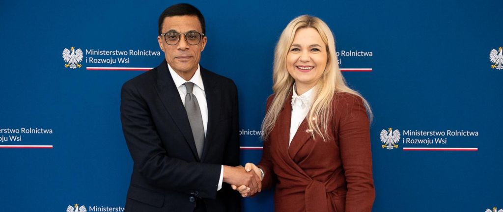 Małgorzata Gromadzka, ambasador Egiptu