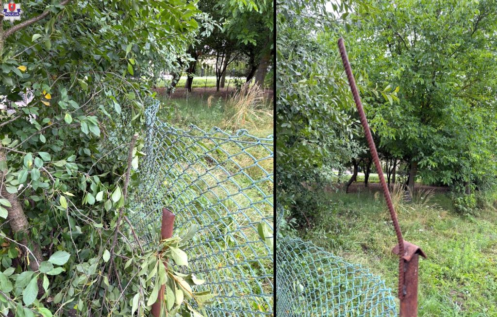 wypadek w sadzie, wypadek przy zbiorach