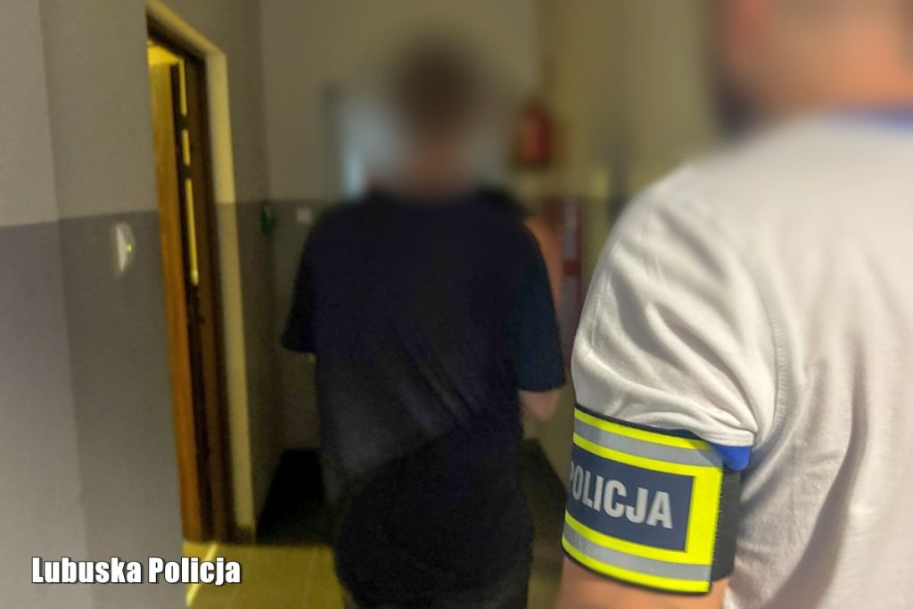 zatrzymany podpalenie, pożar siana