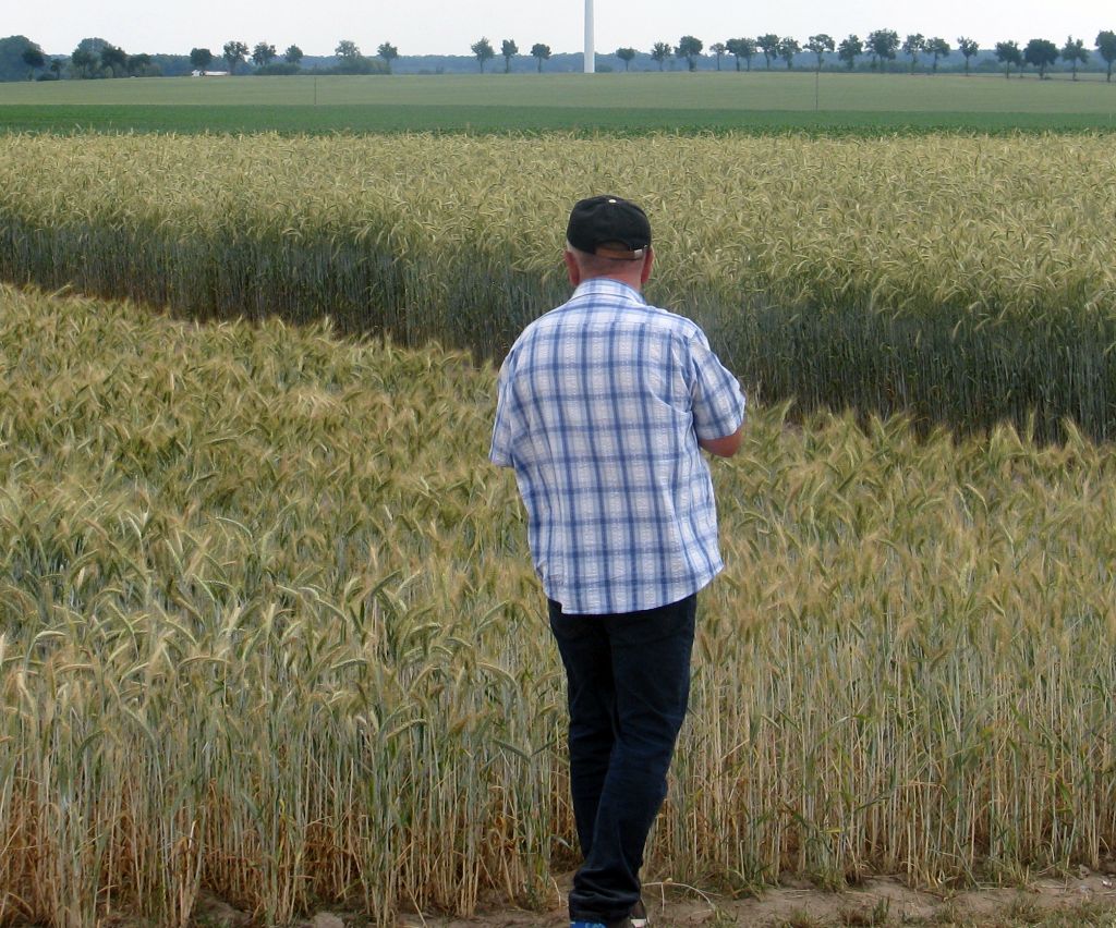 kampania dopłaty 2026, rolnik na polu