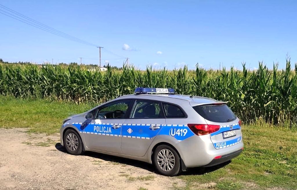 pułapki w kukurydzy, policja w kukurydzy
