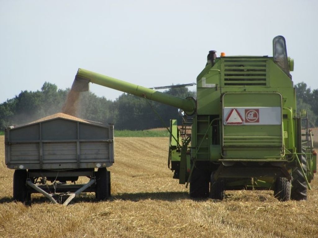 żniwa skup zbóż, kombajn na polu