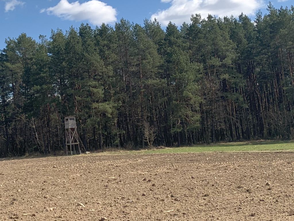 zmiany w Prawie łowieckim, ambona myśliwska