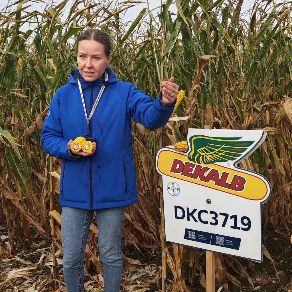 konferencja Bayer Dekalb