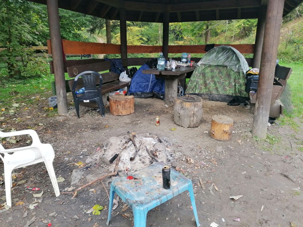 zagraniczni grzybiarze, leśnicy